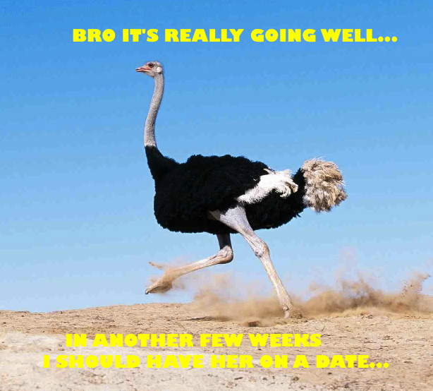 Ostrich Running Away