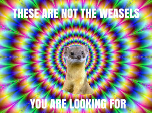 META-avoidance-weasel